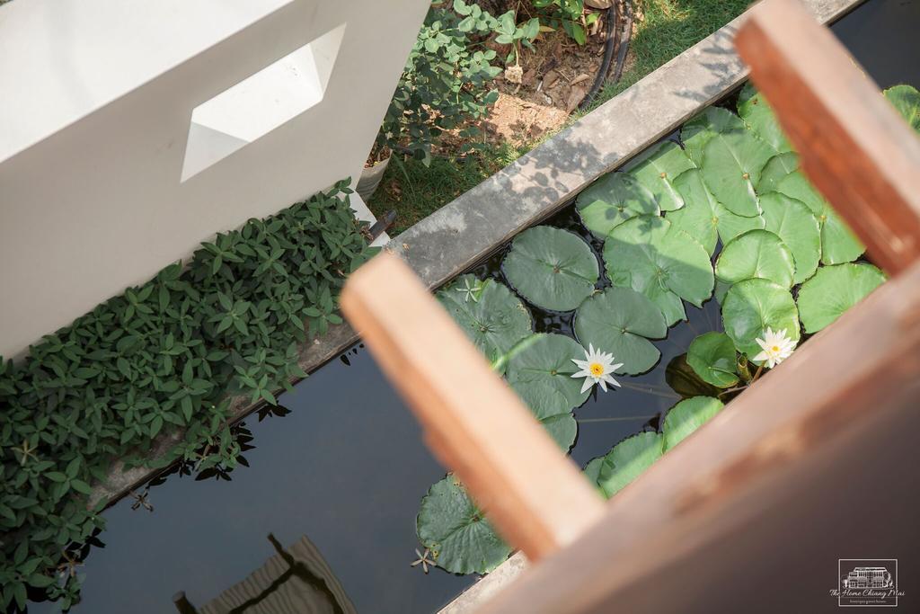 The Home Chiangmai Luxury Guesthouse Chiang Mai Exterior foto